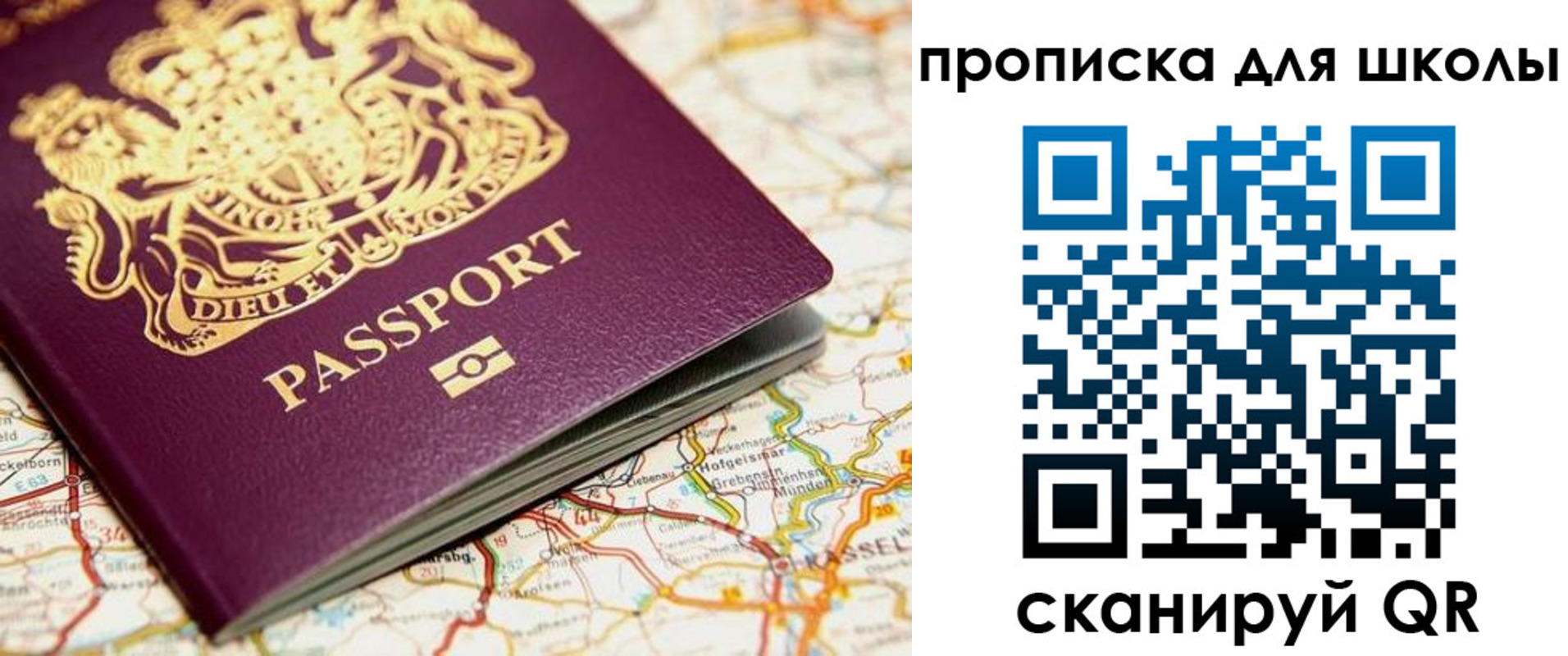 прописка гарантия в Ельне