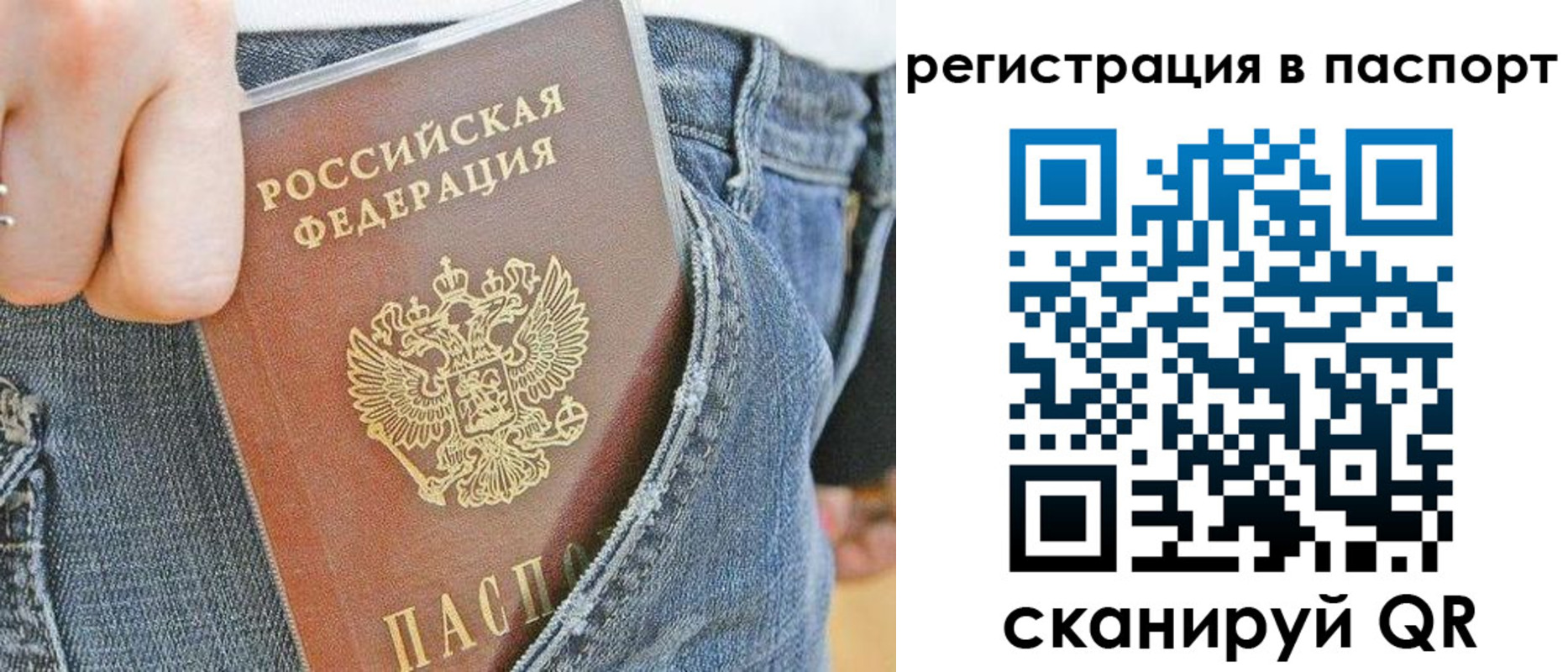 регистрация в Ельне